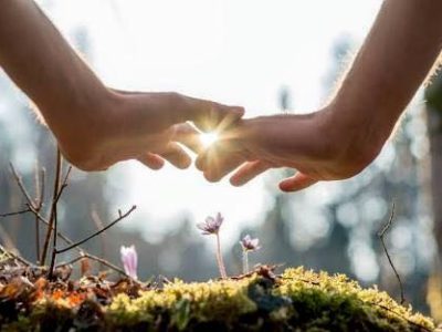 Biorhythm Adjustment