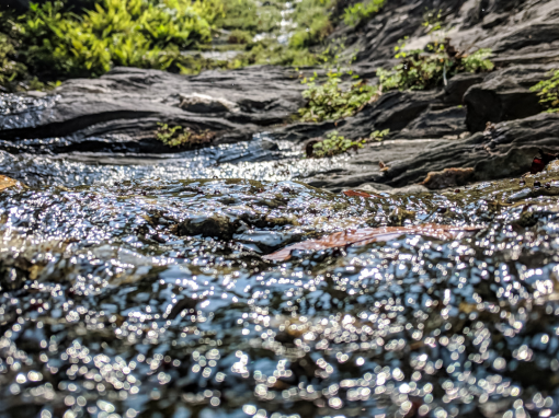 Clarity, Awareness, Expansion