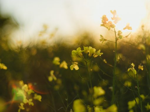 Breakdown or Breakthrough