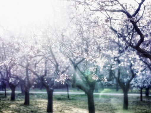 You are exactly where you need to be