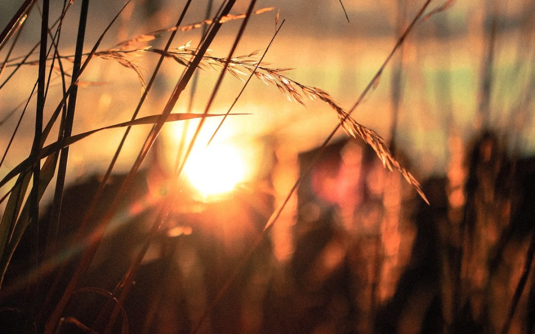 Gift of Awakening