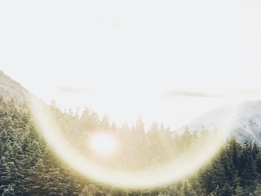 Birth, Death & Rebirth