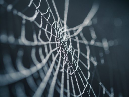 Determining Your Future