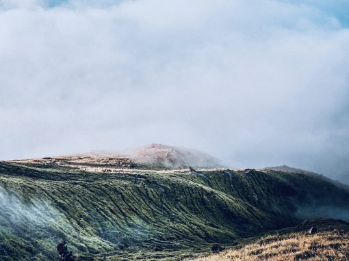 Whispers of the Soul