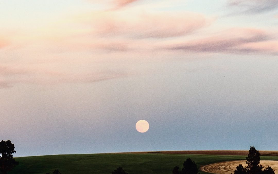 Final Full Moon of the Decade