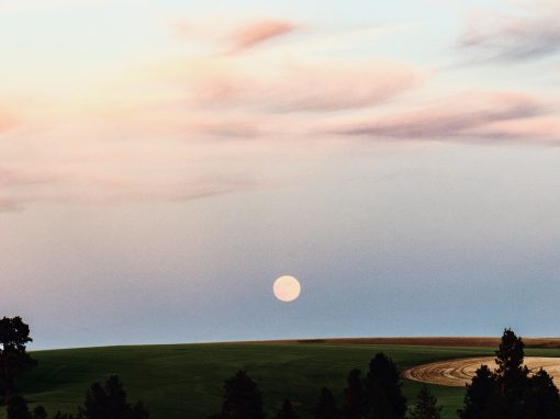 Final Full Moon of the Decade