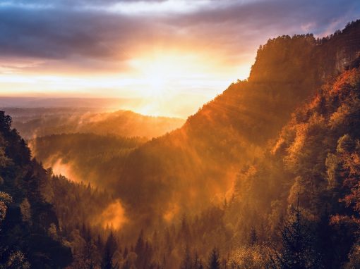 Dawn of a New Decade