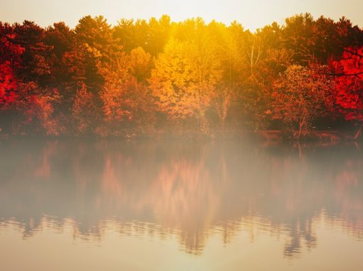 Engage with the World