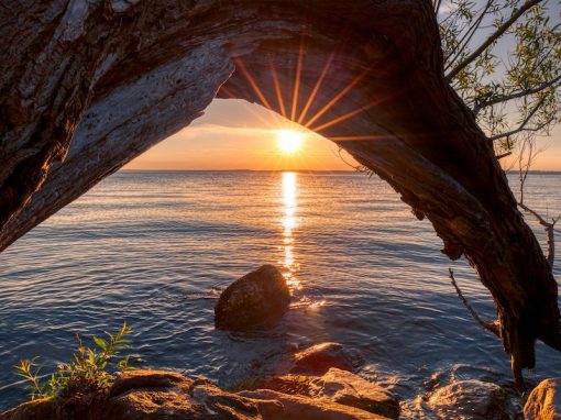 Move beyond your perceptions