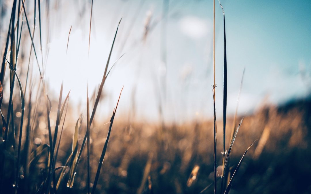 Resistance is Futile