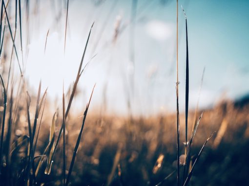 Resistance is Futile