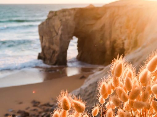 Emphasising the need for change