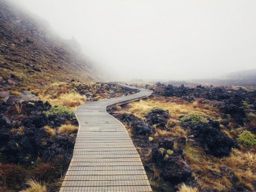 Voyage into the Unknown