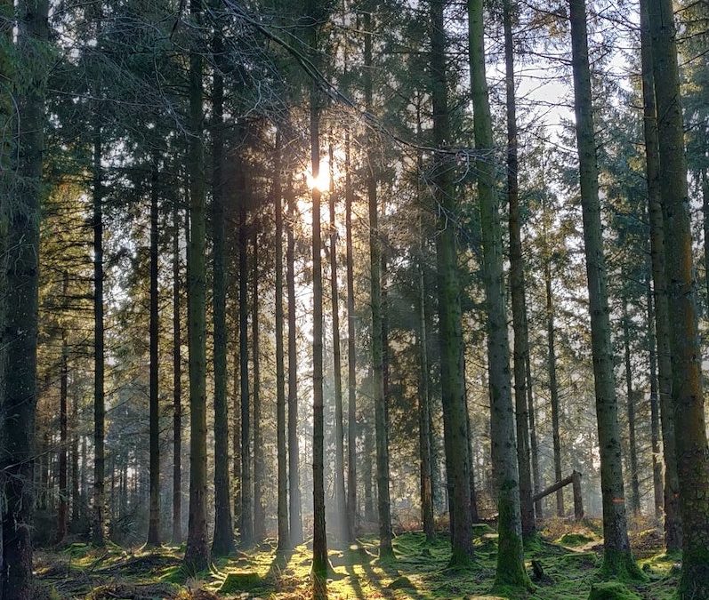 No Time Like the Present