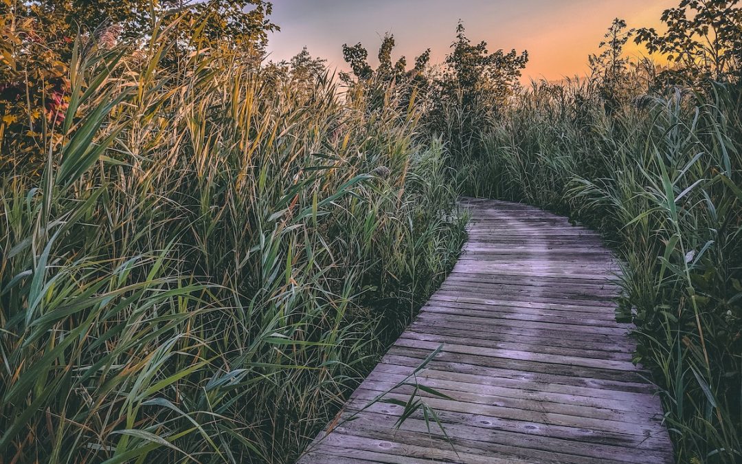 Dawning of a New Age