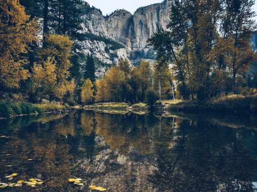 Gently Surrender the Past