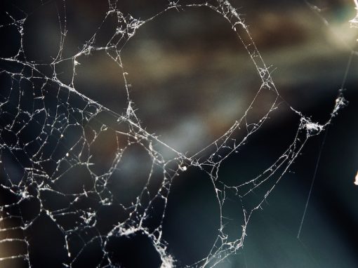 Healing & Releasing the Past