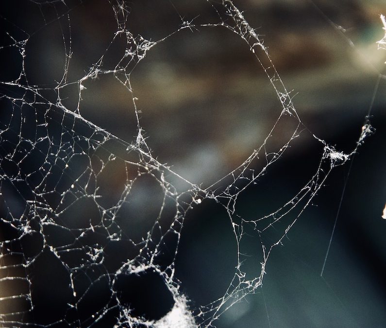 Healing & Releasing the Past