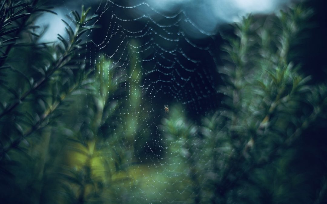 Weaving a New Reality