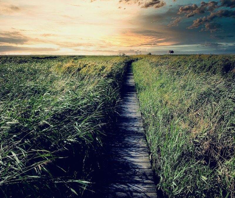 Breakthrough into a New Cycle