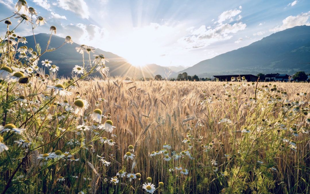 Unimagined Possibilities