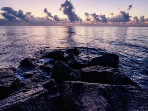 Creating a Better World