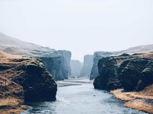 Make Time to Turn Inward