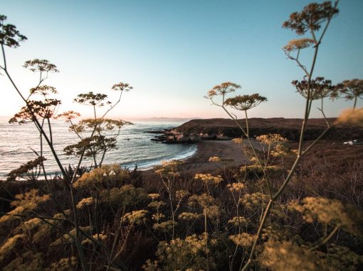 Confront & Release Your Fears