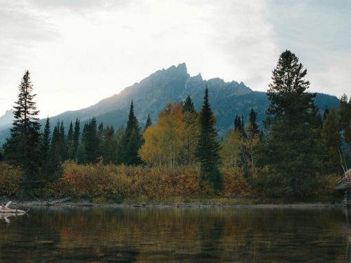 Persevere Along Your Path