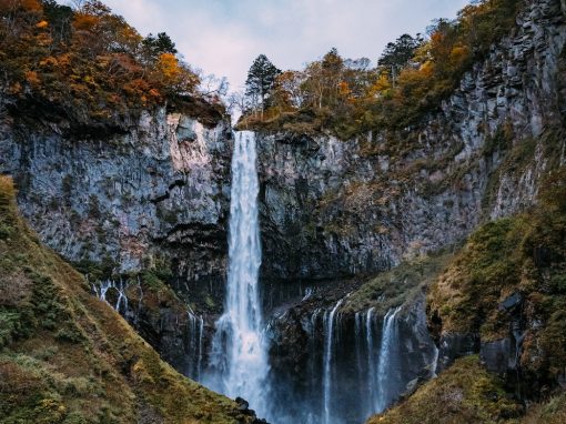 You have the Courage Necessary