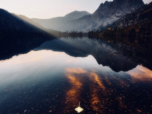 Define Your Priorities