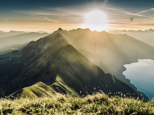 Fires of Transformation