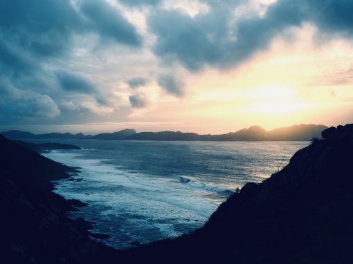 Thrive Despite Uncertainty