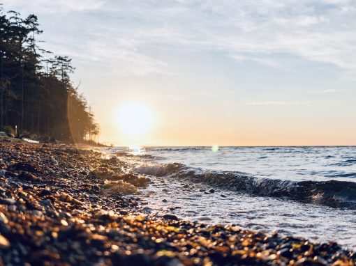 Agile, Creative & Innovative