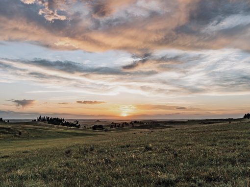 Choose to Elevate your Mind