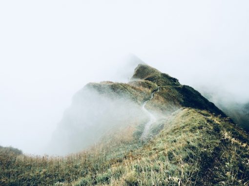 Further Transformation Needed