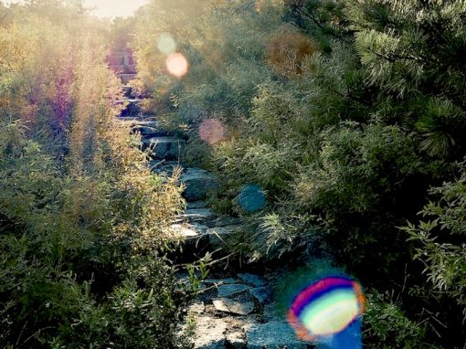 Next Step is to Let Go