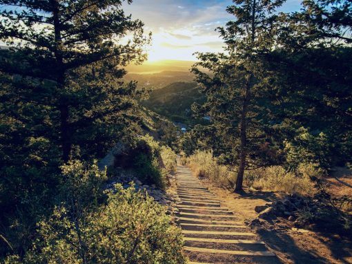 Morn the Passing of the Old