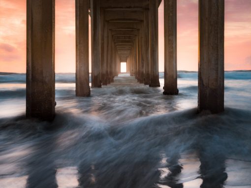 New Directions are Forming