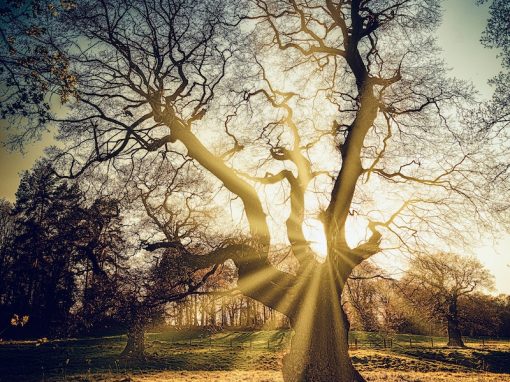 Physical Integration