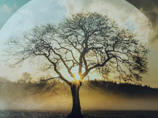 Hidden Influences Emerging