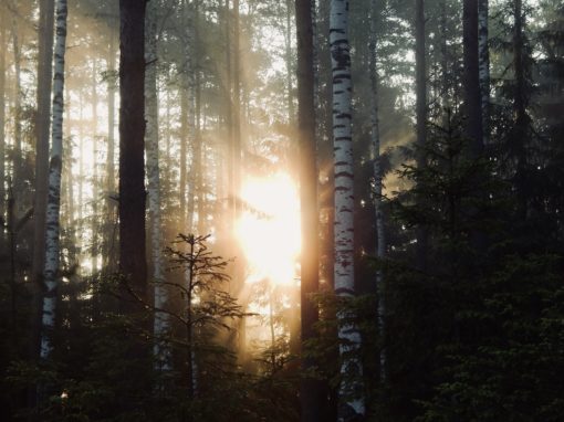 Let Go of Distractions