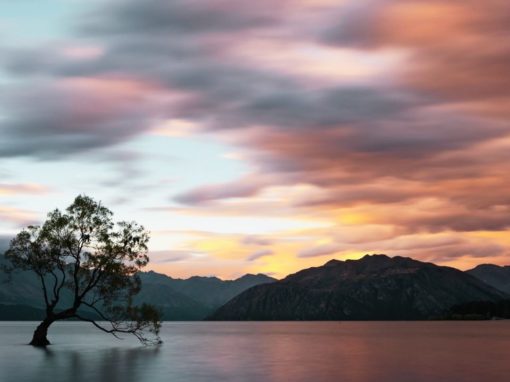 Elevation & Expansion