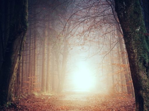 Clarity Emerges from the Heart