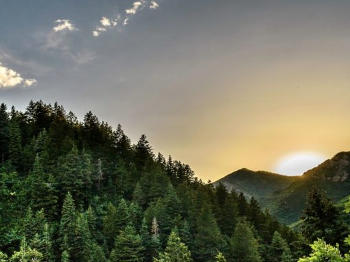 Leaving the Pain & Suffering of the Past