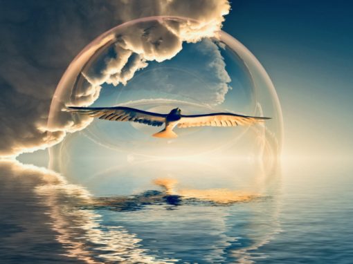 Focus on Your Healing