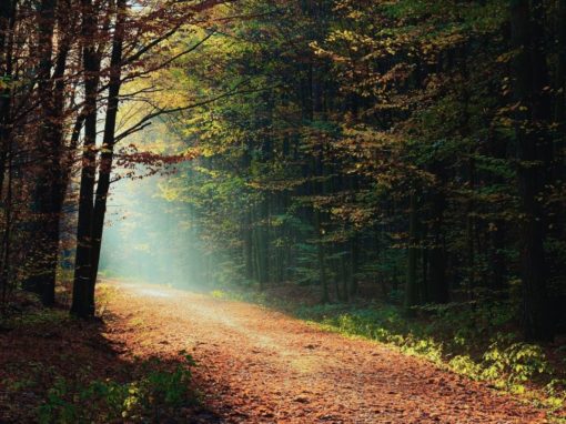 Reflect, Review & Revise