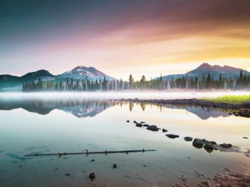 Explore your Inner World