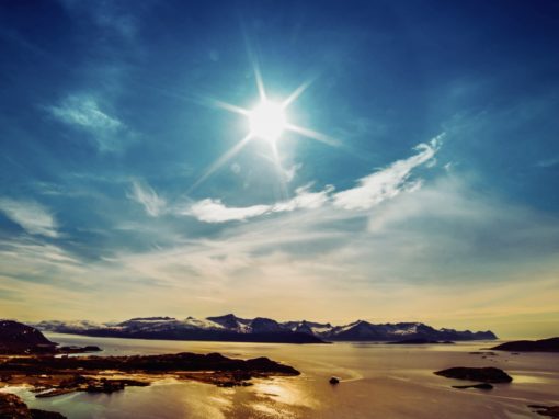 Yield into this Moment