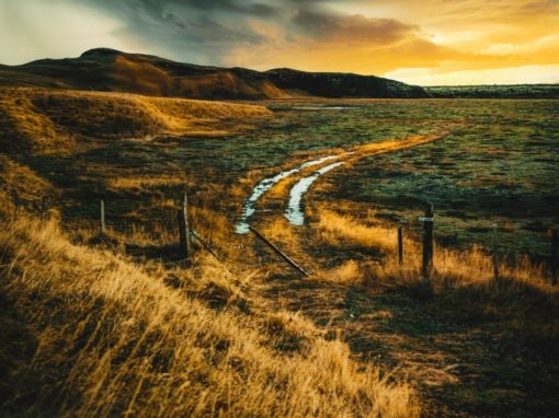 Your Sense of Identity is Shifting